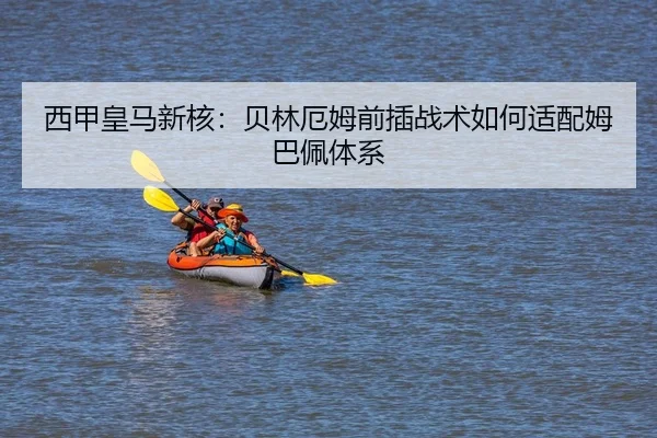 xi-jia-huang-ma-xin-he-bei-lin-e-mu-qian-cha-zhan-shu-ru-he-shi-pei-mu-ba-pei-ti-xi-2-115.jpg
